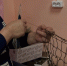 Волонтеры деревни Шиловская Вельского района продолжают поддерживать участников СВО - Пресс-центр Правительства