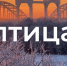 Объявлен шорт-лист конкурсной программы кинофестиваля «Свидание с Россией. Территория народного единства» - Пресс-центр Правительства