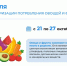 С 21 по 27 октября 2024 года Министерством здравоохранения РФ объявлена Неделя популяризации потребления овощей и фруктов - ГБУЗ АО АГП №1
