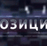 «Позиция» от 21 ноября 2024 г. — Нужен ли закон об эвтаназии агрессивных животных в Архангельской области? - ГТРК Поморье