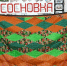 В поселке Сосновка Пинежского округа активно развивается проект местных общественников - Пресс-центр Правительства