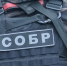 В Северодвинске при содействии СОБР Росгвардии задержан подозреваемый в сокрытии денежных средств в особо крупном размере - Росгвардия