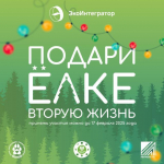 Подарить елке вторую жизнь смогут жители Архангельска, Северодвинска и Новодвинска