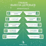 Подарить елке вторую жизнь смогут жители Архангельска, Северодвинска и Новодвинска