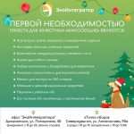 Подарить елке вторую жизнь смогут жители Архангельска, Северодвинска и Новодвинска
