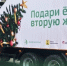 В Поморье стартует экологическая акция по вывозу новогодних елей - Пресс-центр Правительства