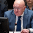 Небензя много лет представляет Россию в ООН | Источник: russiaun.ru - 29.Ru