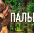 В кинотеатрах Поморья продолжается прокат картины «Пальма — 2» - ГТРК Поморье