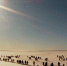 Более 200 рыболовов из Поморья и соседних регионов собрал «Налим Малиныч» на Лёкшмозере - ГТРК Поморье