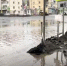 Фото: News29 - News29.Ru