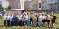 Сотрудники Северного управления Росприроднадзора высадили деревья в Вологде - Росприроднадзор