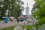 В Архангельске вновь пройдет мультиформатный летний фестиваль «Белый июнь»