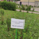 Тоже Чумбаровка | Источник: Юрий Скородумов