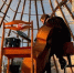 Фото: News29 - News29.Ru