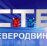 АО «СТВ» публикует расценки на размещение предвыборных агитационных материалов - Tv29.Ru