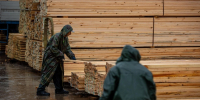 Лесная промышленность Поморья после 2022 году пережила не лучшие времена | Источник: Александр Ощепков / NGS.RU - 29.Ru