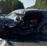 Фото: УМВД России по Архангельской области - News29.Ru