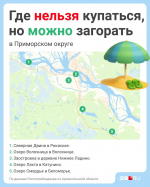Источник: Полина Авдошина