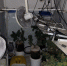 JPG Файл - УМВД Архангельской области