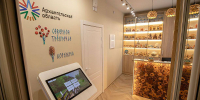 В Коряжме открылся визит-центр «Кедровая мечта» - Пресс-центр Правительства
