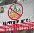 В лесах Поморья продолжается пожароопасный сезон - Пресс-центр Правительства