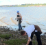 Акция «Чистая вода» в Архангельске объединила более 500 участников - ГТРК Поморье