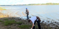 Акция «Чистая вода» в Архангельске объединила более 500 участников - ГТРК Поморье