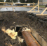 Фото: News29 - News29.Ru