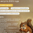Источник: Полина Авдошина / Городские медиа - 29.Ru