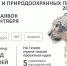 1 сентября стартовал прием заявок на конкурс экологических и природоохранных проектов 2026 года - Общественная палата