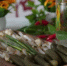 Фото: News29 - News29.Ru