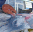 Рыба — традиционный поморский продукт, но на ярмарке есть не только местная семга | Источник: Иван Митюшёв / 29.RU - 29.Ru