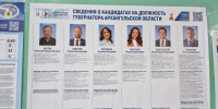 В Архангельской области в первый день выборов явка составила 18,03 процента - Tv29.Ru