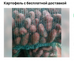 Источник: Avito.ru
