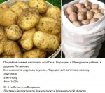 Источник: Мой рынок Архангельск Северодвинск Новодвинск / Vk.com