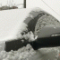 Фото: News29 - News29.Ru