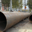 Фото: News29 - News29.Ru