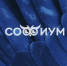Всероссийская олимпиада школьников «СОФИУМ» - Избирательная комиссия