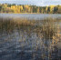 фото: News29.ru - News29.Ru