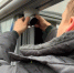 Фото: News29 - News29.Ru