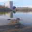 img - ЛДПР
