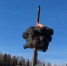 Стоп-кадр из видео Минобороны РФ - News29.Ru