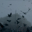 Меланхоличная погода, типичная для октября | Источник: Иван Митюшёв / 29.RU - 29.Ru