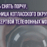 JPG Файл - УМВД Архангельской области