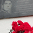 img - ЛДПР