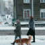 В недавно казалось, что в Поморье пришла зима | Источник: Иван Митюшёв / 29.RU - 29.Ru