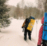 Алтай зимой — это не просто заснеженные пейзажи | Источник: Вадим Резник - 29.Ru