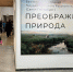 Фото Кирилла Иодаса - Пресс-центр Правительства