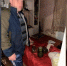 Архангелогородец оборудовал подвал дома под выращивание наркосодержащих растений - Tv29.Ru