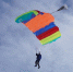 Фото: министерство природных ресурсов и ЛПК Архангельской области - Пресс-центр Правительства